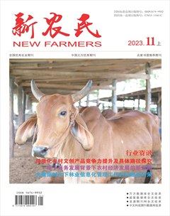 新农民
