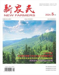 新农民