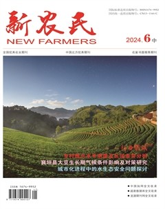 新农民