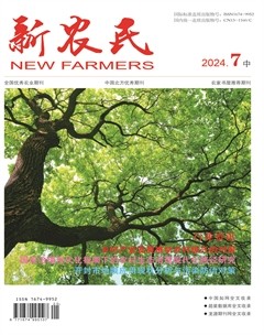 新农民
