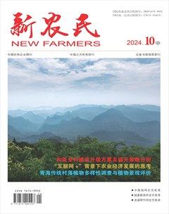 新农民