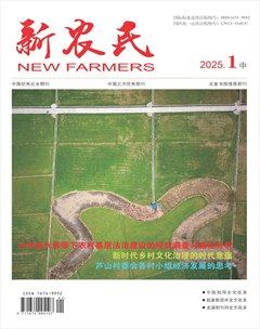 新農(nóng)民