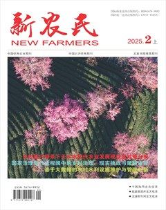 新农民