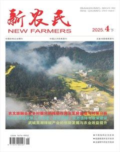 新农民