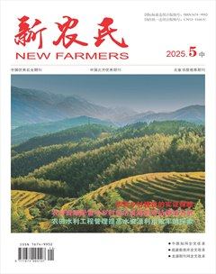 新农民