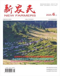 新农民