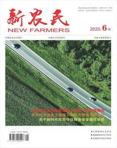 新农民