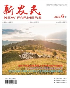 新农民