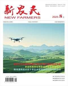 新农民