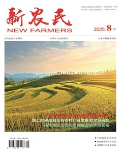 新農(nóng)民