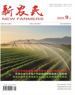 新农民