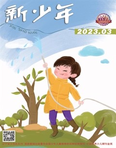 新少年