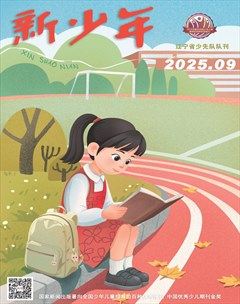 新少年