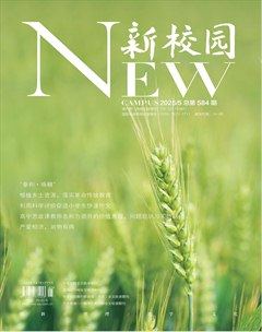 新校园