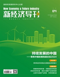 新经济导刊