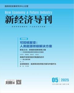 新经济导刊