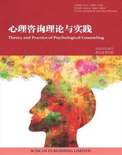 心理咨询理论与实践