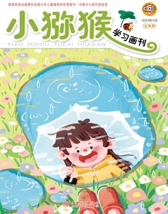 小猕猴学习画刊