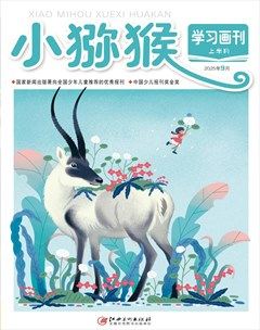 小猕猴学习画刊