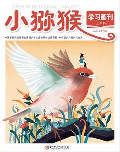 小猕猴学习画刊