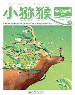 小猕猴学习画刊