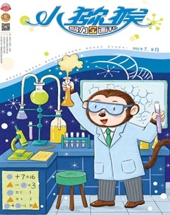 小獼猴智力畫(huà)刊