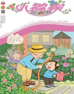 小猕猴智力画刊