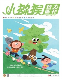 小猕猴智力画刊