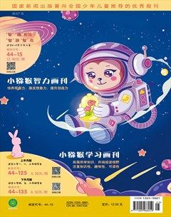 小猕猴智力画刊