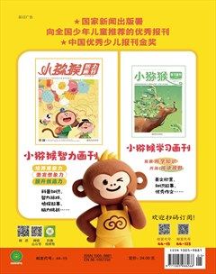 小猕猴智力画刊