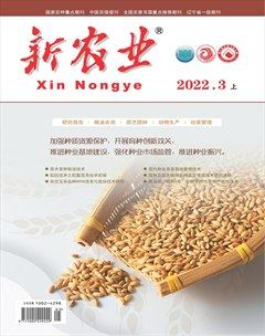 新农业
