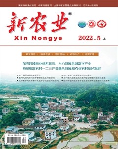 新农业
