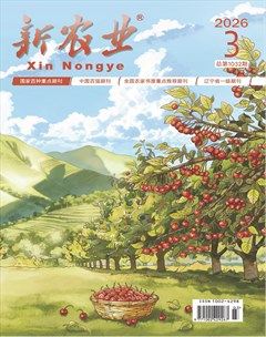 新农业