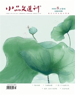 小品文选刊