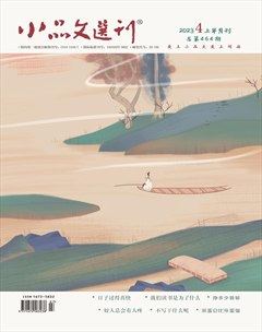 小品文选刊