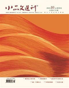 小品文选刊