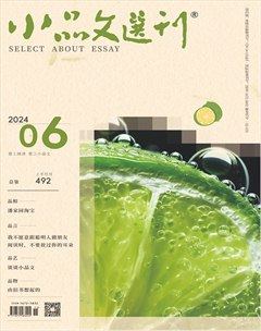 小品文選刊