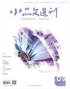 小品文选刊