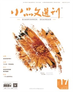 小品文选刊