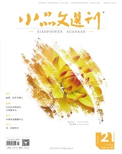 小品文选刊