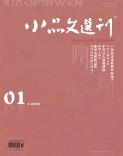 小品文选刊