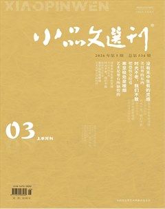小品文选刊