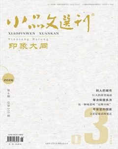 小品文选刊