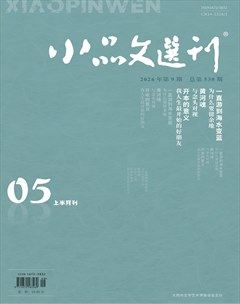 小品文选刊