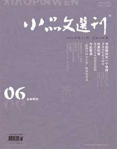 小品文选刊