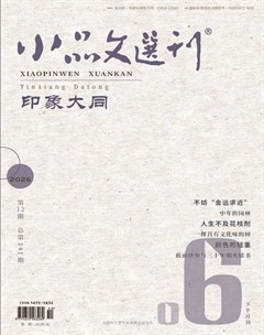 小品文选刊