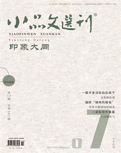 小品文选刊