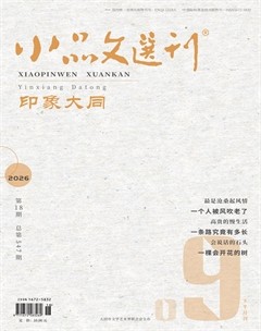小品文选刊