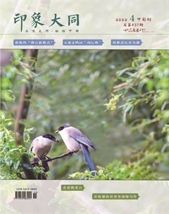 小品文选刊·印象大同