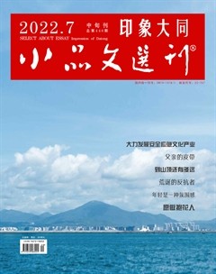 小品文选刊·印象大同